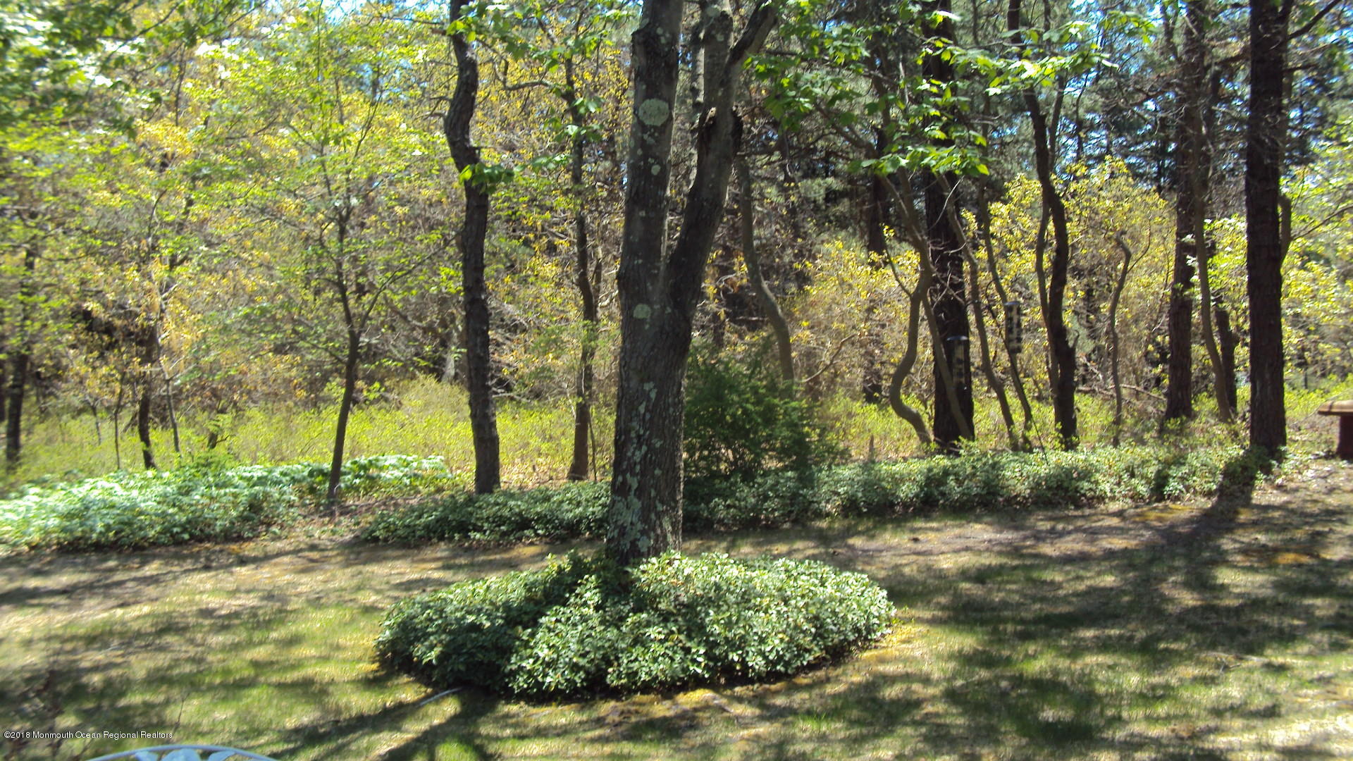 38 Berkshire Road Whiting, NJ 08759 - Photo 7 of 27 DSC07722