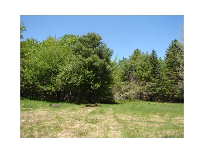 4235 Airline Road Wesley, ME 04686 - Photo 10 of 11 Land. Good back yard for a garden