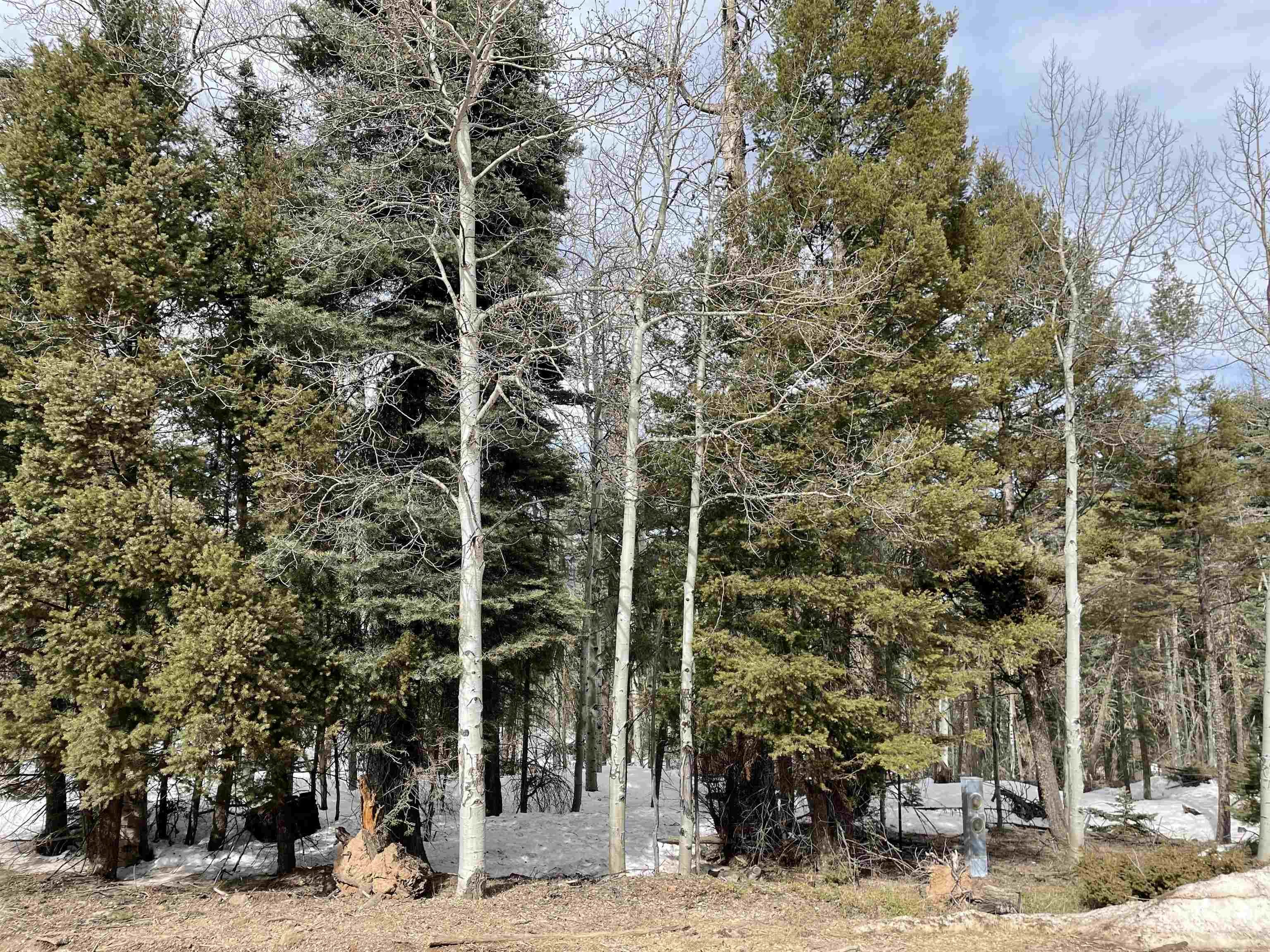 Lot 337 Rio Arriba Angel Fire, NM 87710 - Photo 4 of 9 Gallery Image 4
