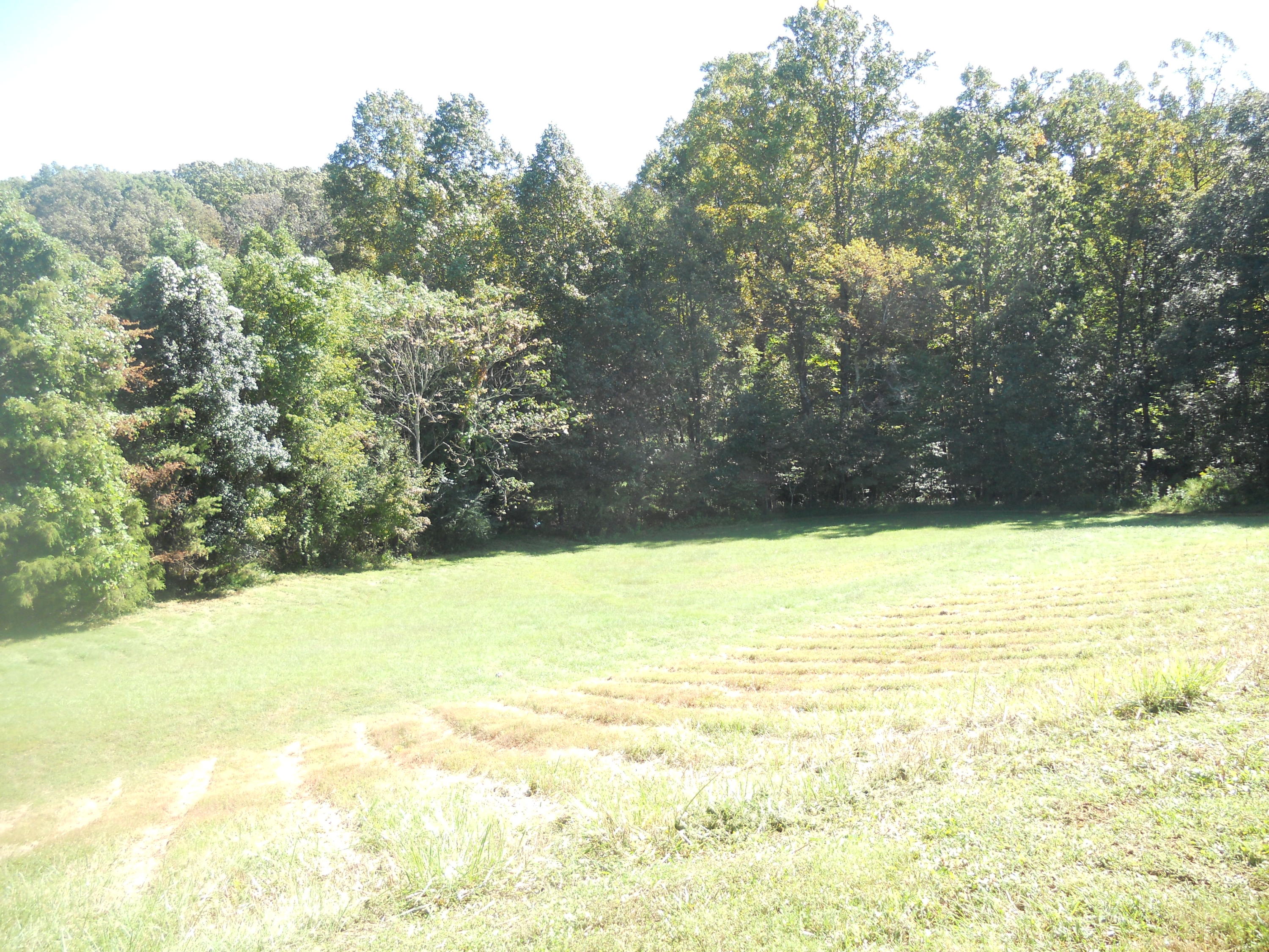 1504 Turner Branch Road Goodview, VA 24095 - Photo 5 of 64 DSCN6086