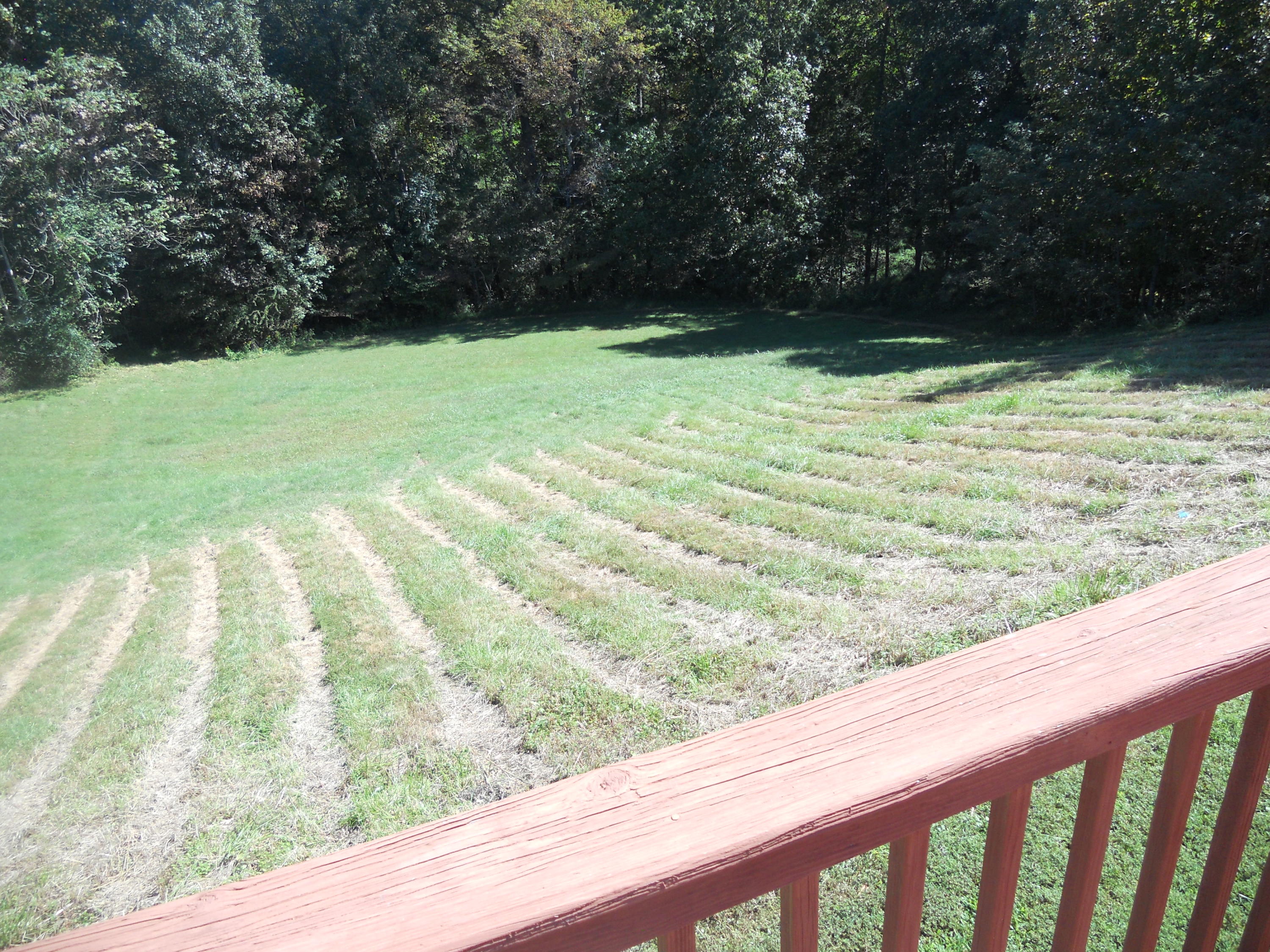 1504 Turner Branch Road Goodview, VA 24095 - Photo 50 of 64 a view of outdoor space with swimming pool