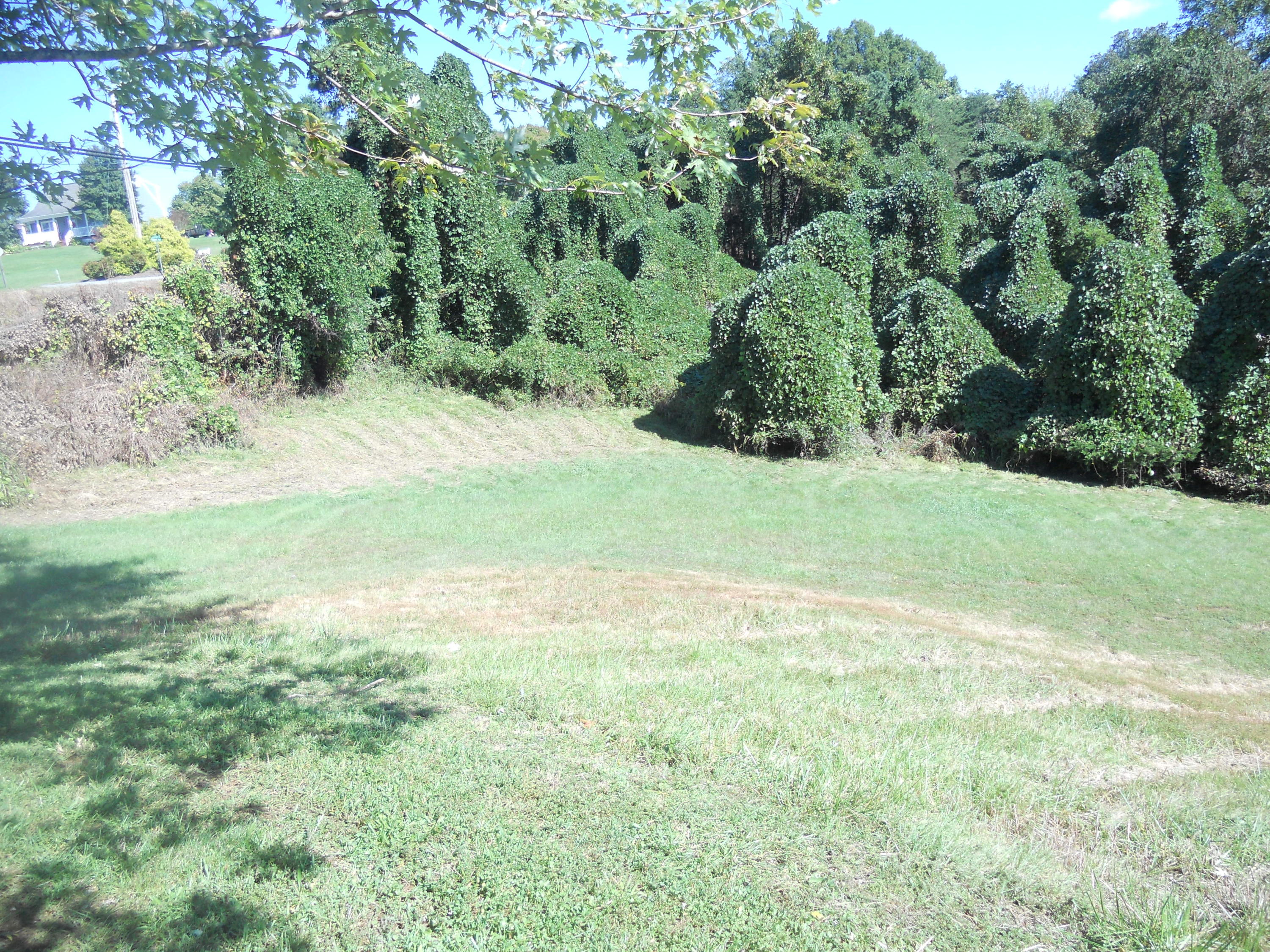 1504 Turner Branch Road Goodview, VA 24095 - Photo 6 of 64 a view of a field with a tree