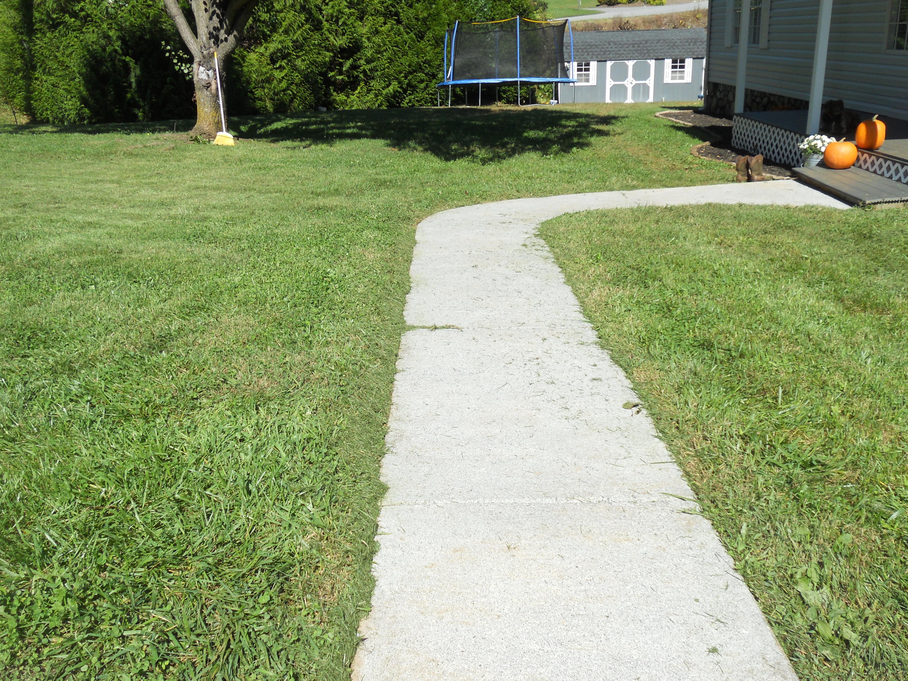 1504 Turner Branch Road Goodview, VA 24095 - Photo 62 of 64 a view of a backyard with a garden
