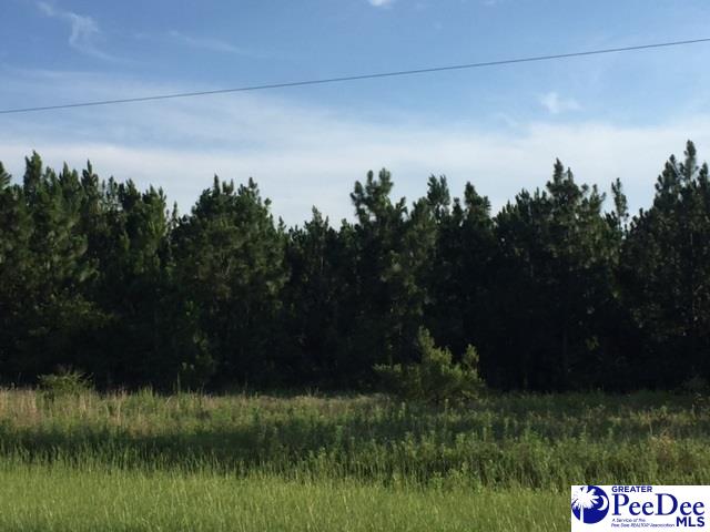Andrews Mill Road Lamar, SC 29069 - Photo 1 of 1 Gallery Image 1