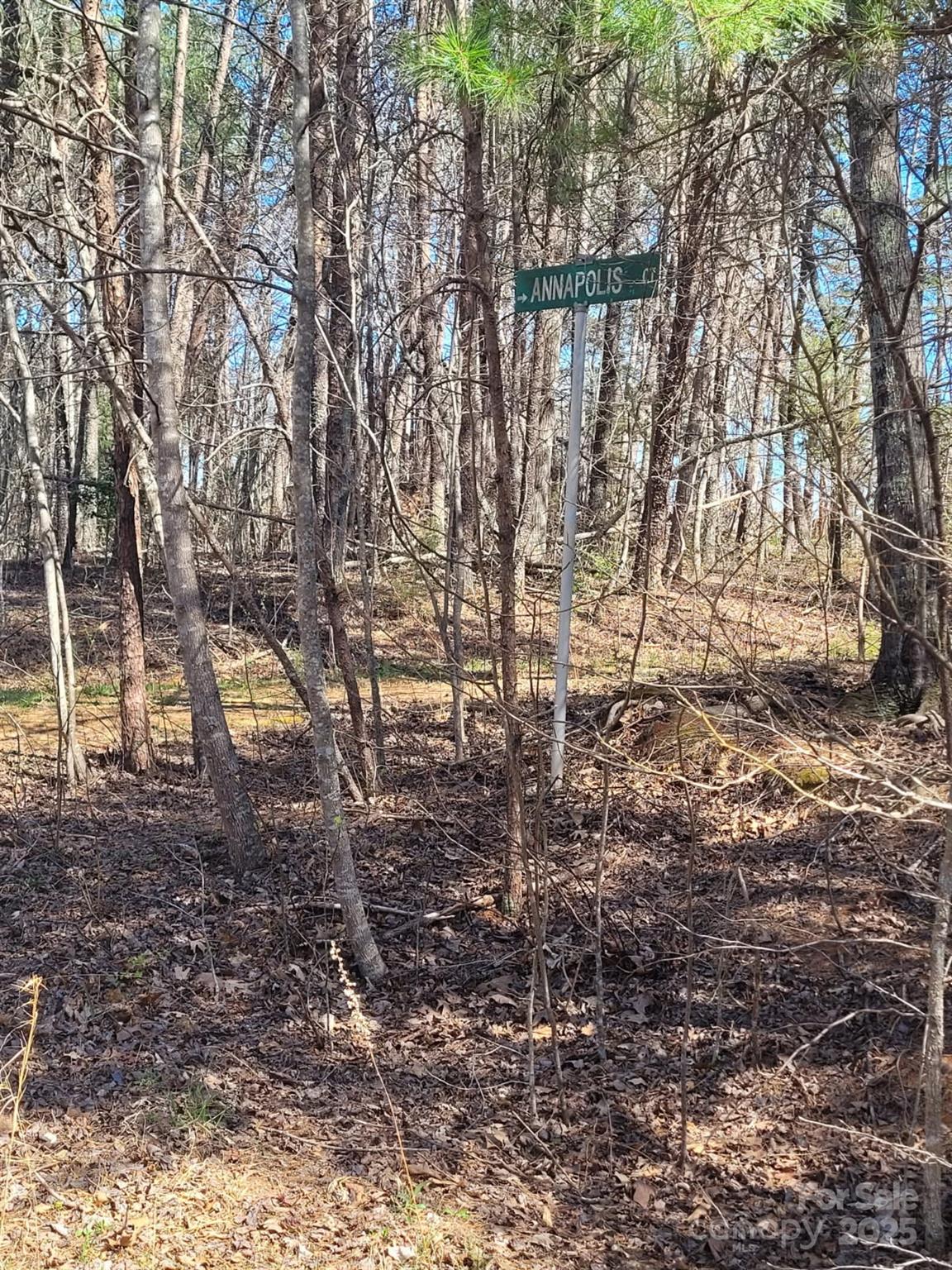 0 Washburn Lane Rutherfordton, NC 28139 - Photo 17 of 45