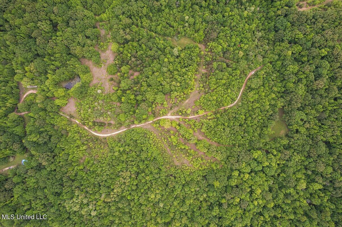 Whiskey Ridge Road Bentonia, MS 39040 - Photo 1 of 13 01-DJI_0074