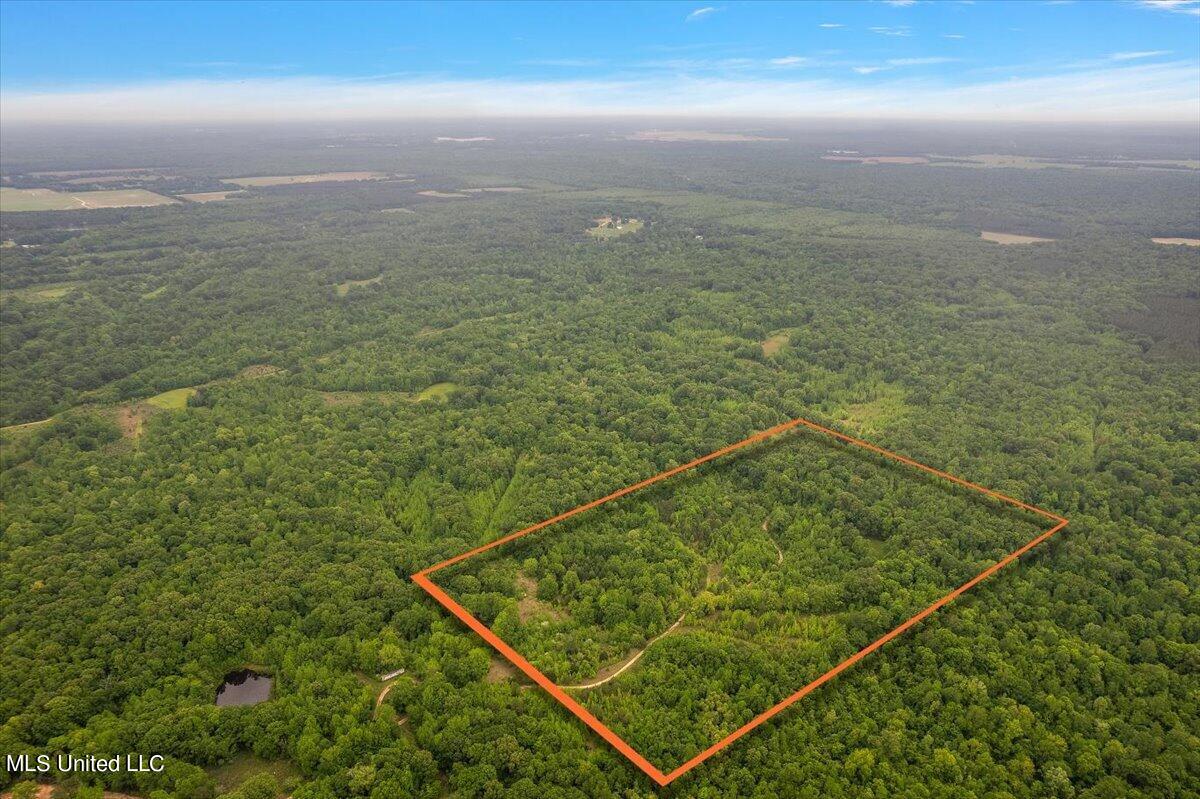 Whiskey Ridge Road Bentonia, MS 39040 - Photo 11 of 13 11-DJI_0077 Lotline