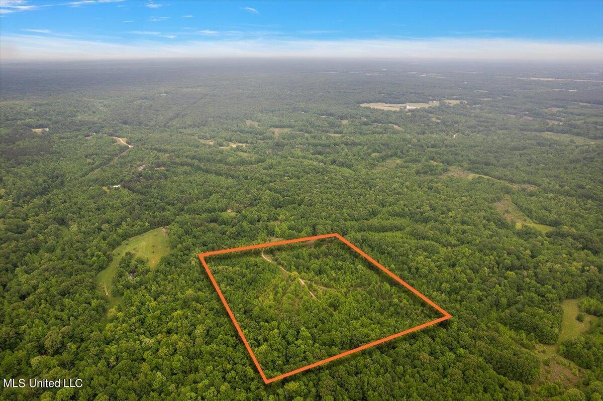 Whiskey Ridge Road Bentonia, MS 39040 - Photo 12 of 13 12-DJI_0086 lotline
