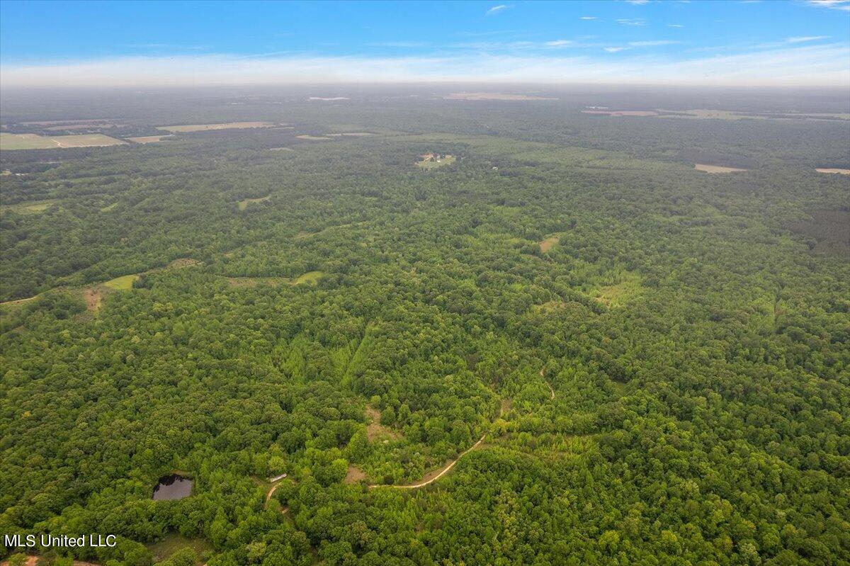 Whiskey Ridge Road Bentonia, MS 39040 - Photo 2 of 13 02-DJI_0077