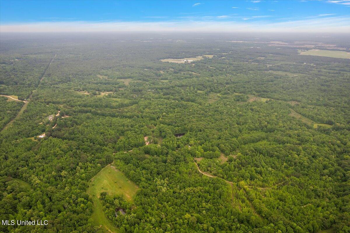 Whiskey Ridge Road Bentonia, MS 39040 - Photo 3 of 13 03-DJI_0083