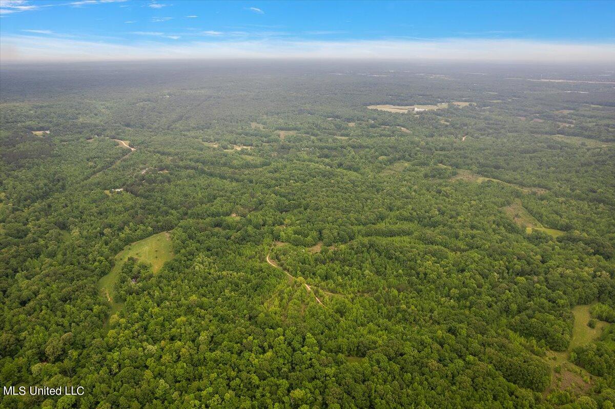 Whiskey Ridge Road Bentonia, MS 39040 - Photo 4 of 13 04-DJI_0086
