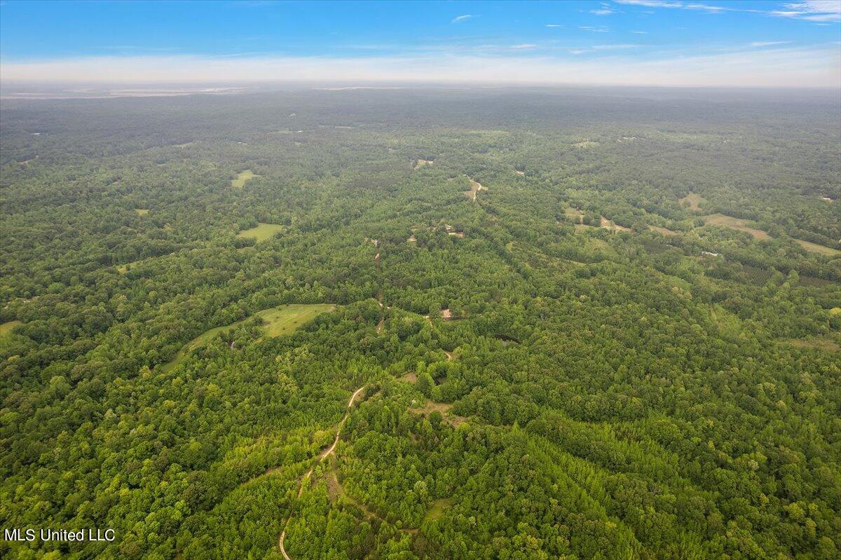 Whiskey Ridge Road Bentonia, MS 39040 - Photo 5 of 13 05-DJI_0095