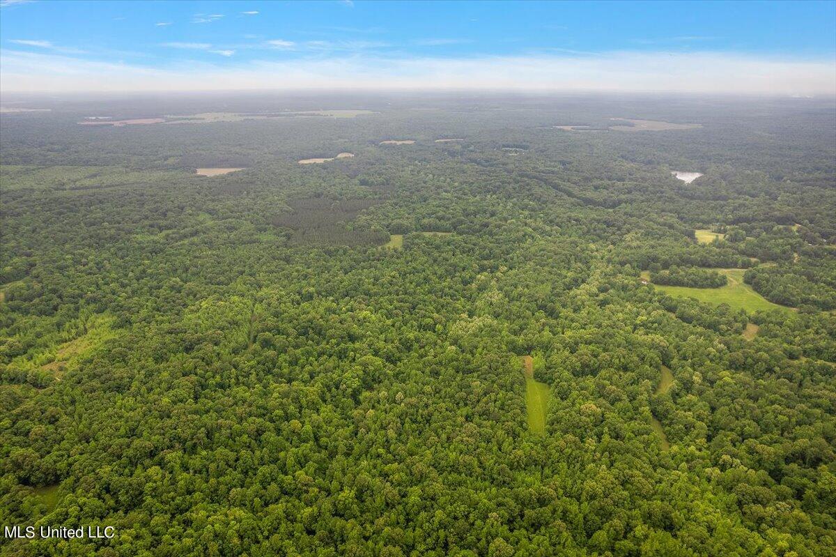 Whiskey Ridge Road Bentonia, MS 39040 - Photo 6 of 13 06-DJI_0080