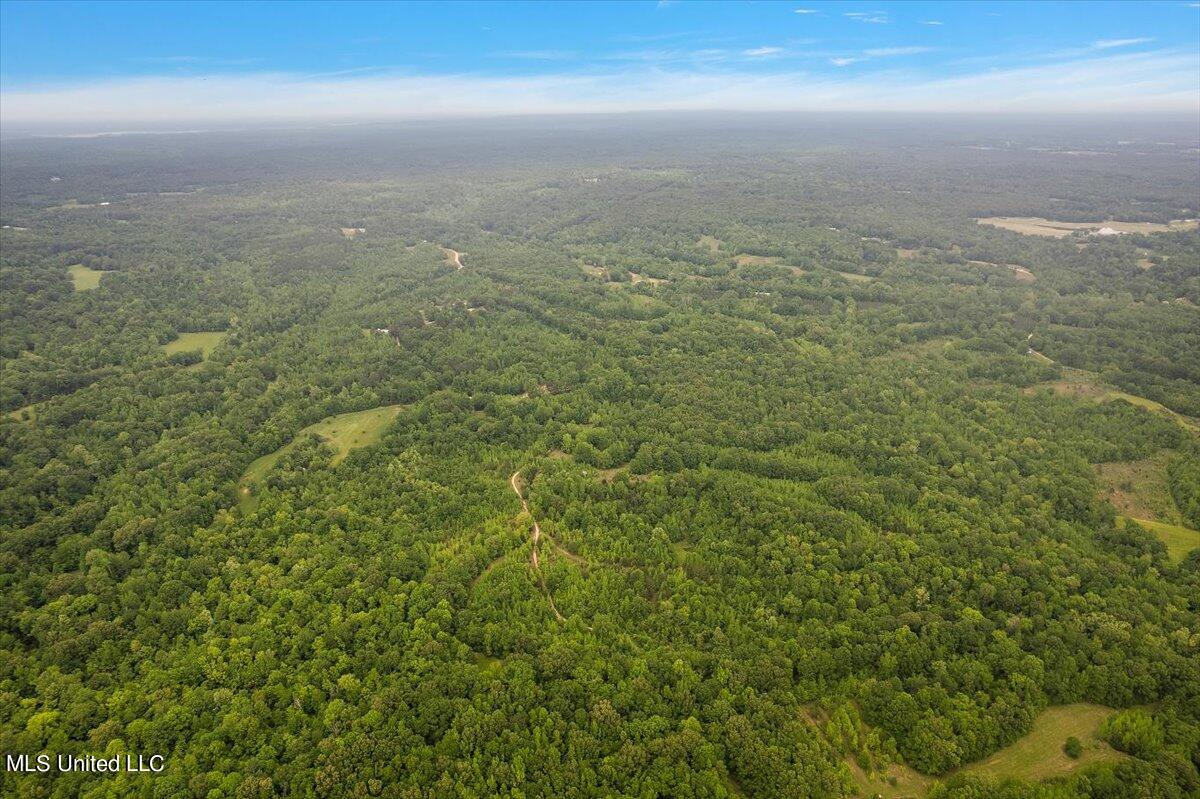 Whiskey Ridge Road Bentonia, MS 39040 - Photo 7 of 13 07-DJI_0089