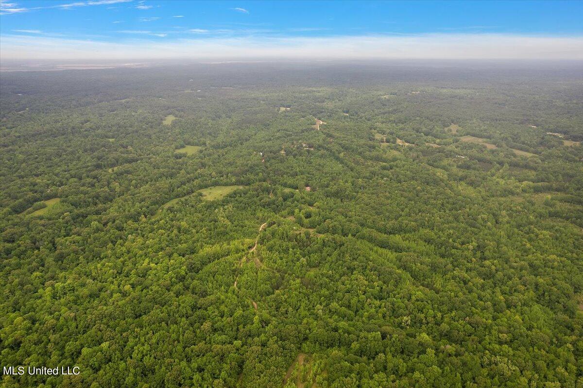 Whiskey Ridge Road Bentonia, MS 39040 - Photo 8 of 13 08-DJI_0092