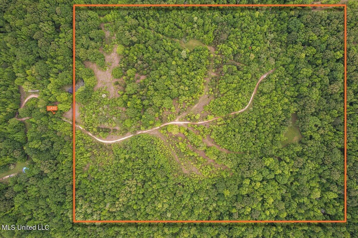 Whiskey Ridge Road Bentonia, MS 39040 - Photo 9 of 13 09-DJI_0074 lotline w gate marked