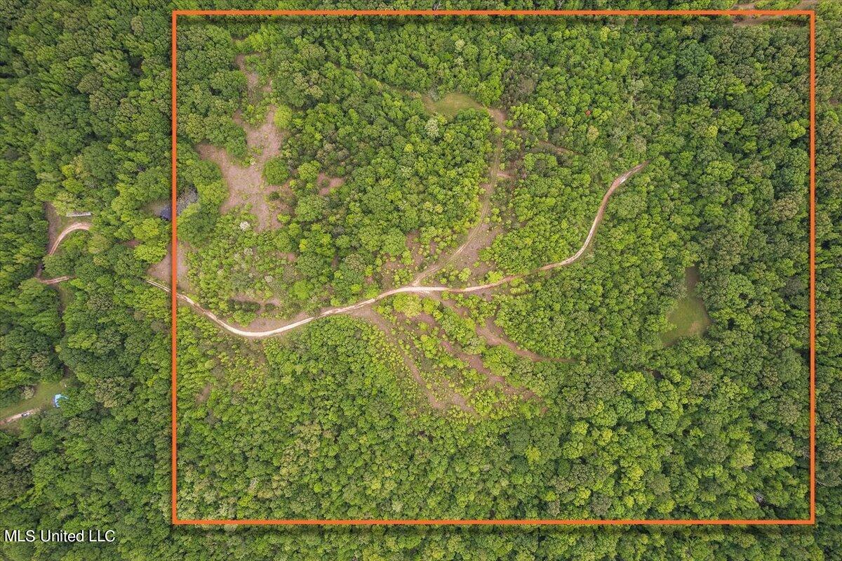 Whiskey Ridge Road Bentonia, MS 39040 - Photo 10 of 13 10-DJI_0074 lotline