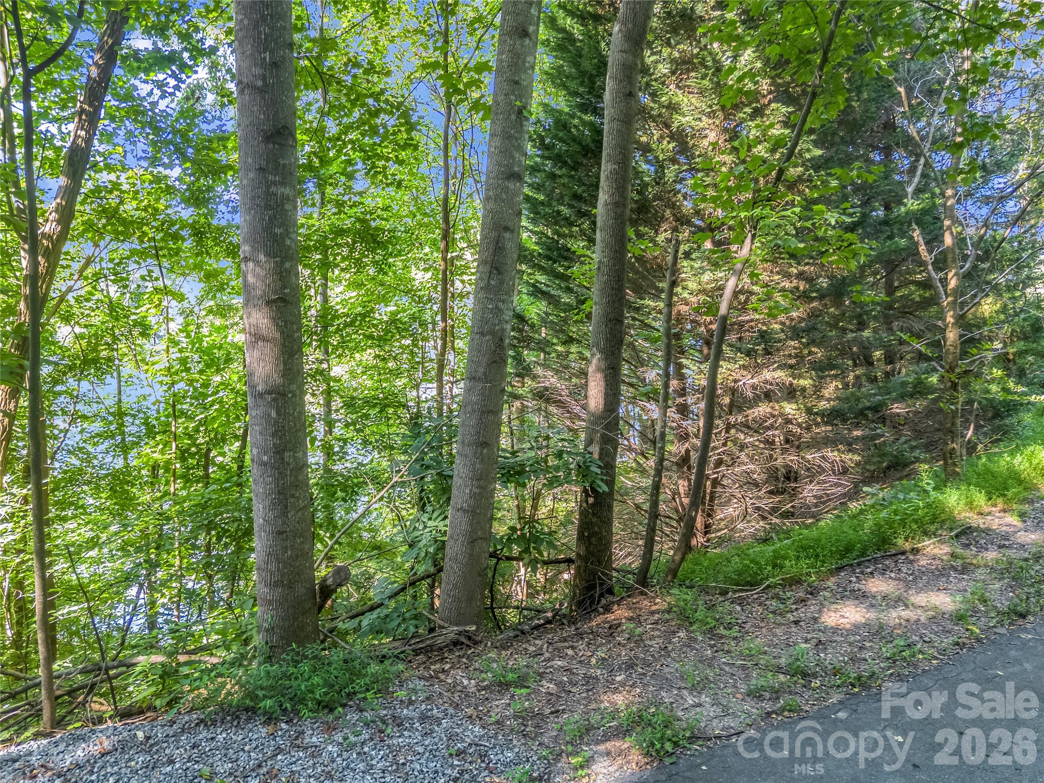 0 Chapel Point Road, Unit 14 Lake Lure, NC 28746 - Photo 23 of 36 Gallery Image 23