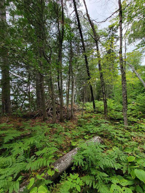 1 Railroad Bed Rd Lake View Milo, ME 04463 - Photo 14 of 27 lot 3