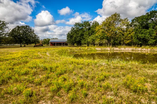 $1,000,000 | 12018 Fm 2620 Road, Bedias, TX 77831