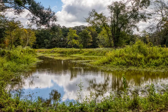 $1,000,000 | 12018 Fm 2620 Road, Bedias, TX 77831