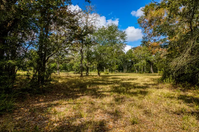 $1,000,000 | 12018 Fm 2620 Road, Bedias, TX 77831