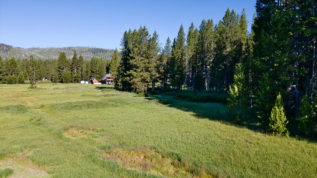Tbd Tbd Secesh River Road, Unit 52 McCall, ID 83638 - Photo 17 of 18