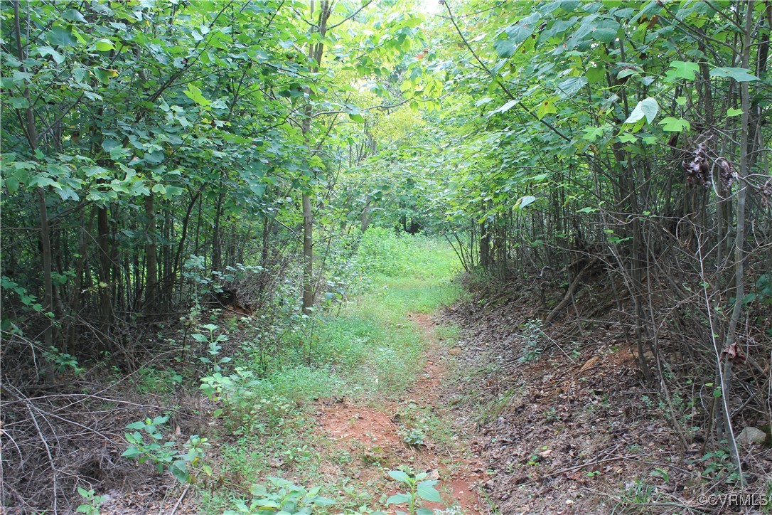Tbd Board Mountain Road Goodview, VA 24095 - Photo 27 of 49
