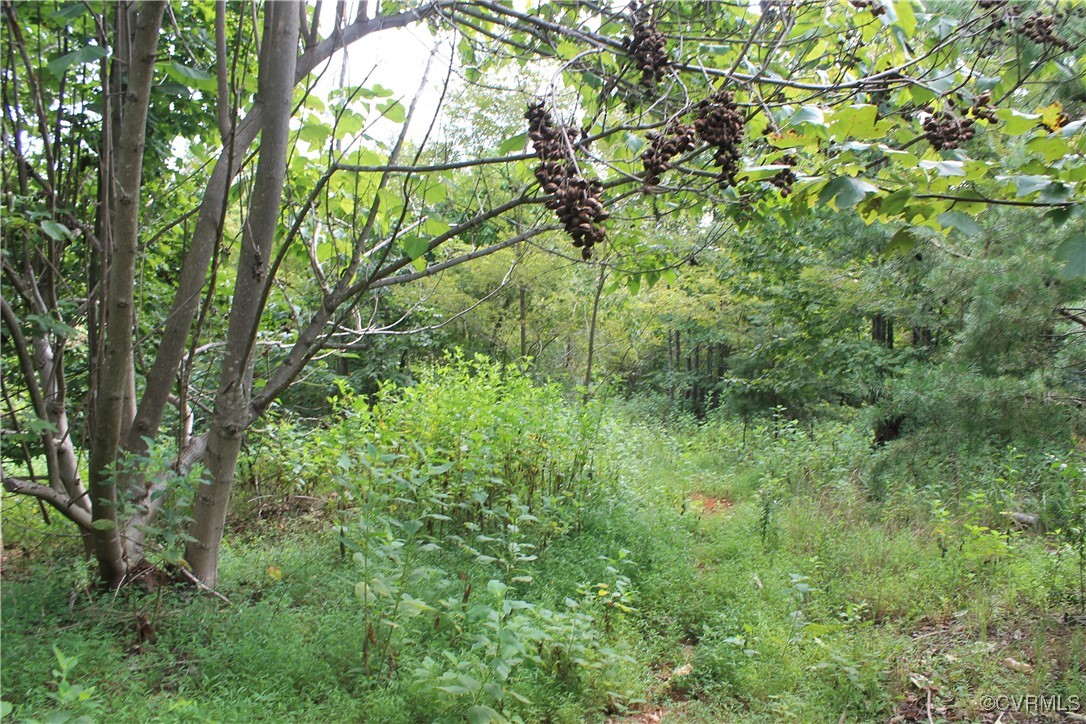 Tbd Board Mountain Road Goodview, VA 24095 - Photo 28 of 49