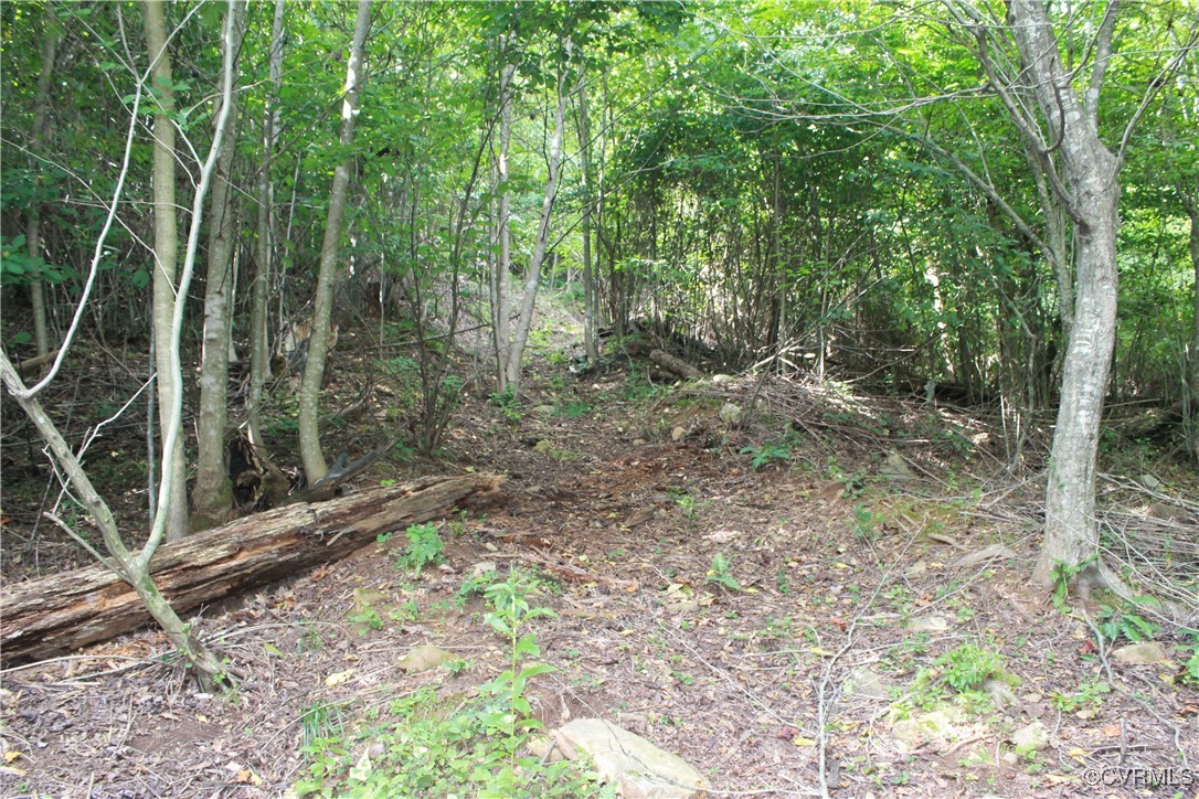 Tbd Board Mountain Road Goodview, VA 24095 - Photo 41 of 49