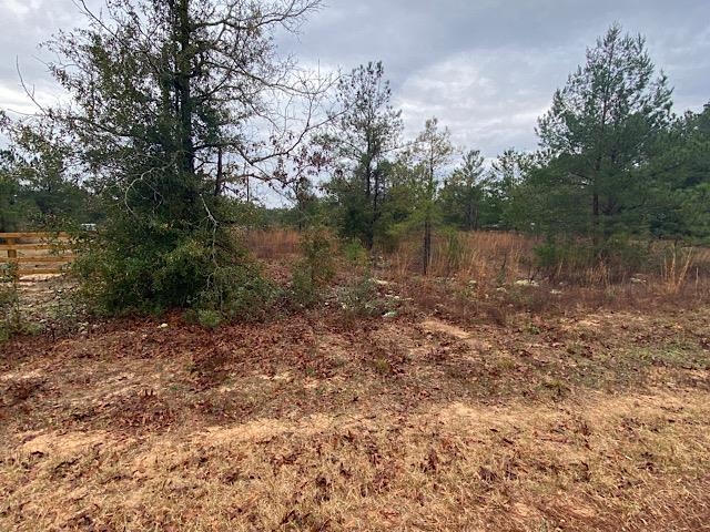 Tbd South Trace Road Milton, FL 32583 - Photo 1 of 2