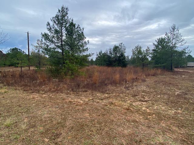 Tbd South Trace Road Milton, FL 32583 - Photo 2 of 2
