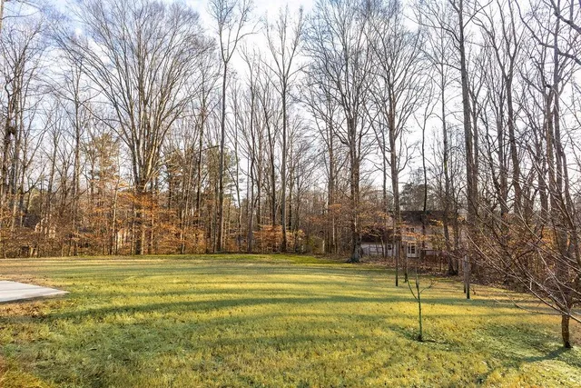 a view of swimming pool with large trees