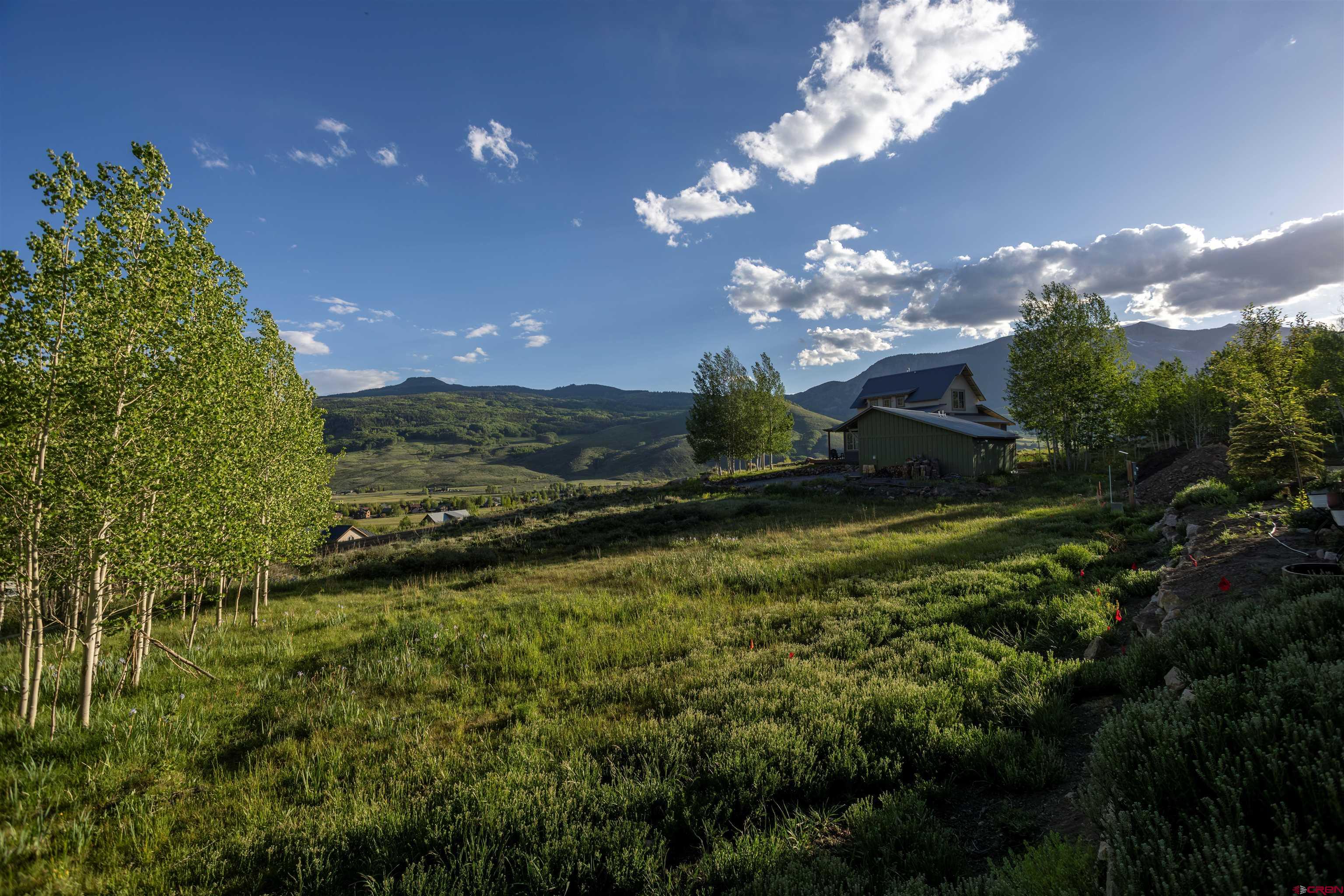 451 Zeligman Street Crested Butte, CO 81224 - Photo 4 of 10 a view of a house with a yard