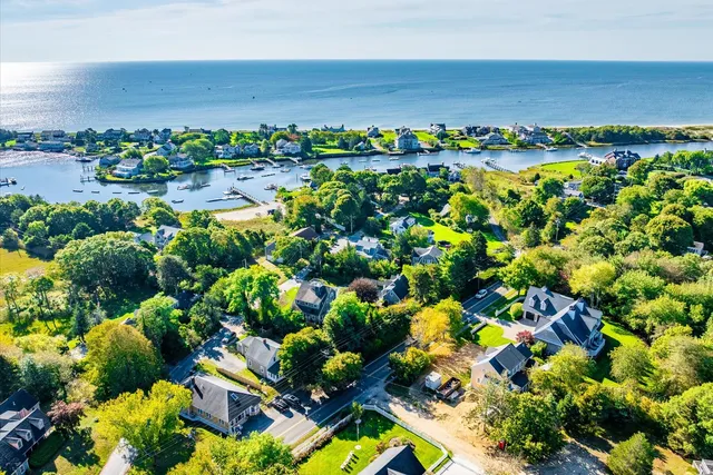 a view of a bunch of flowers and trees
