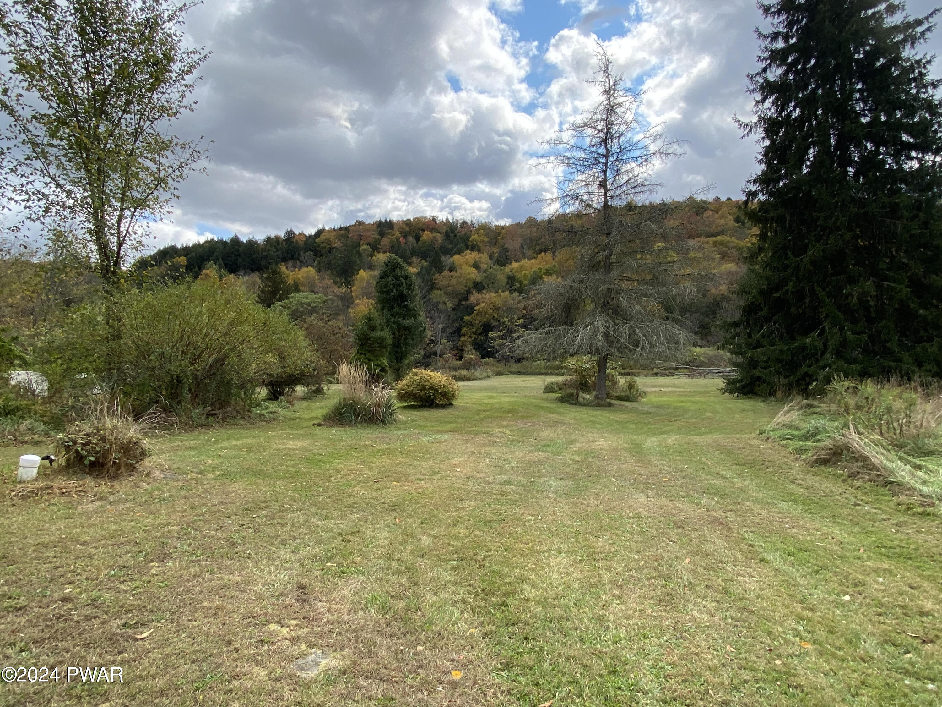 back yard2