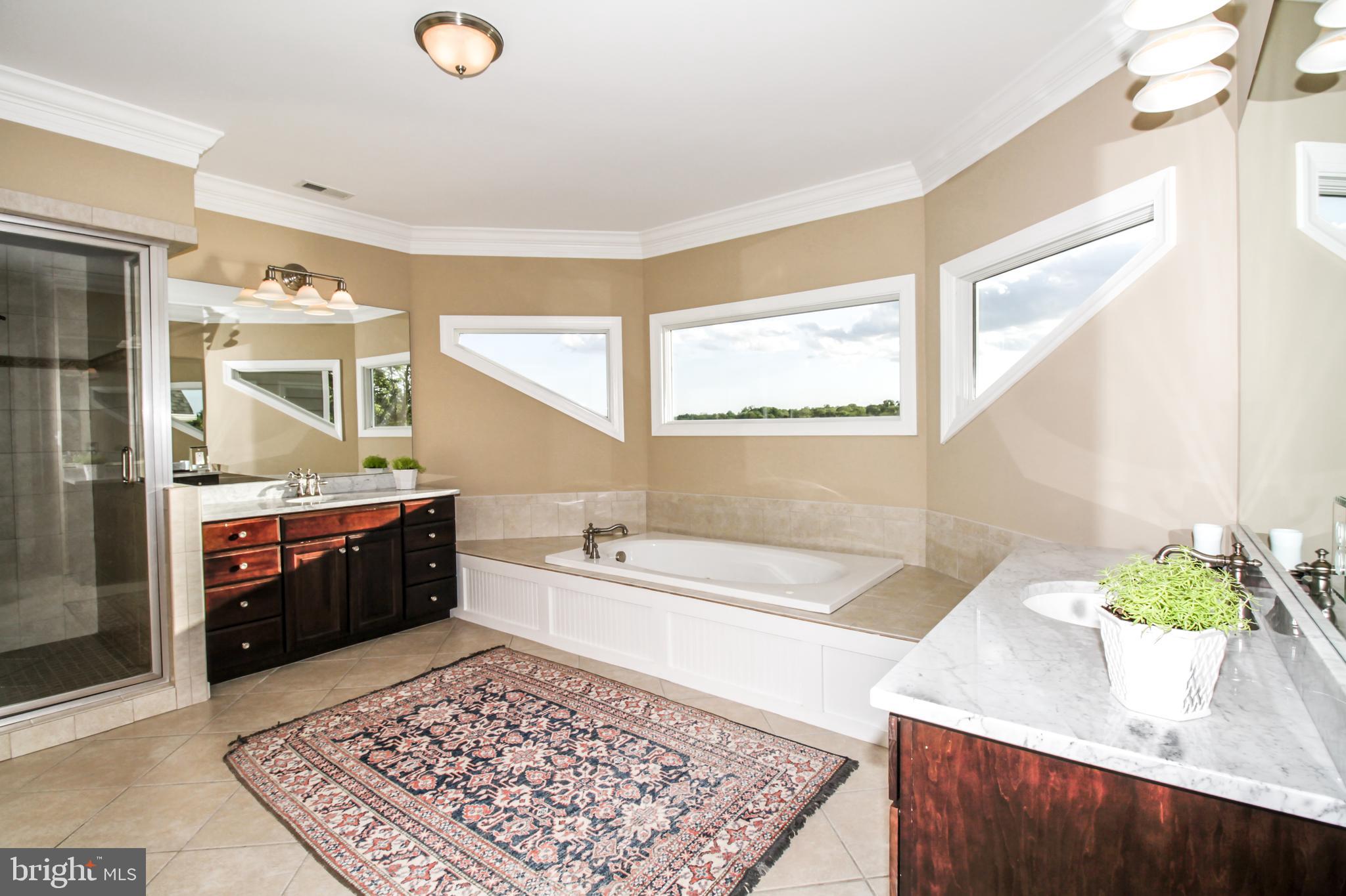 2996 Friends Road Annapolis, MD 21401 - Photo 28 of 52 Dual vanities, steam shower, sunken jetted tub