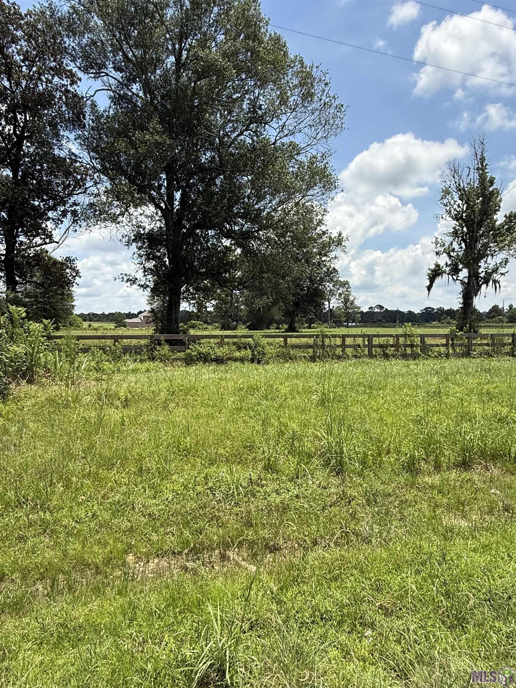22390 Plank Road Zachary, LA 70791 - Photo 8 of 8