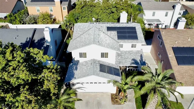 a view of flowers in a garden