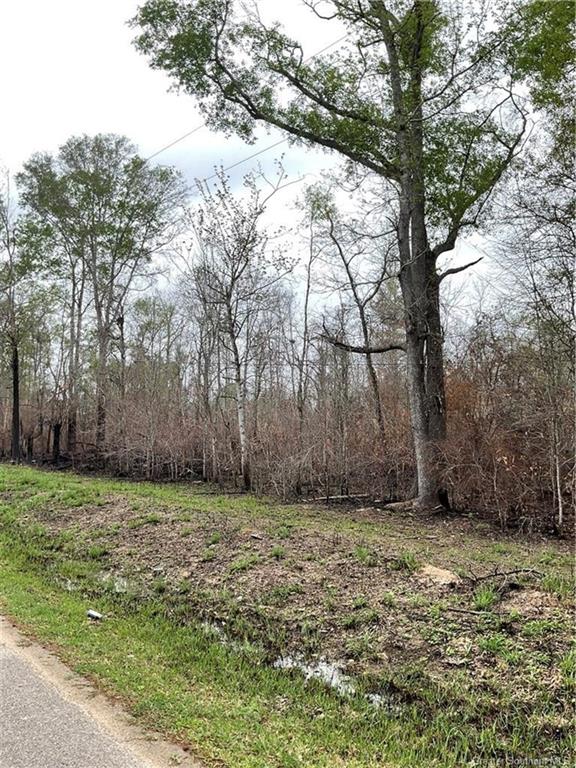 0 John King Road Ragley, LA 70657 - Photo 2 of 2