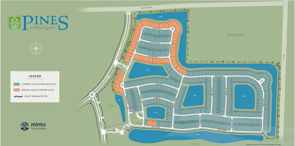 a park with palm trees