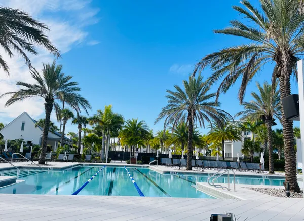a view of a garden with a street