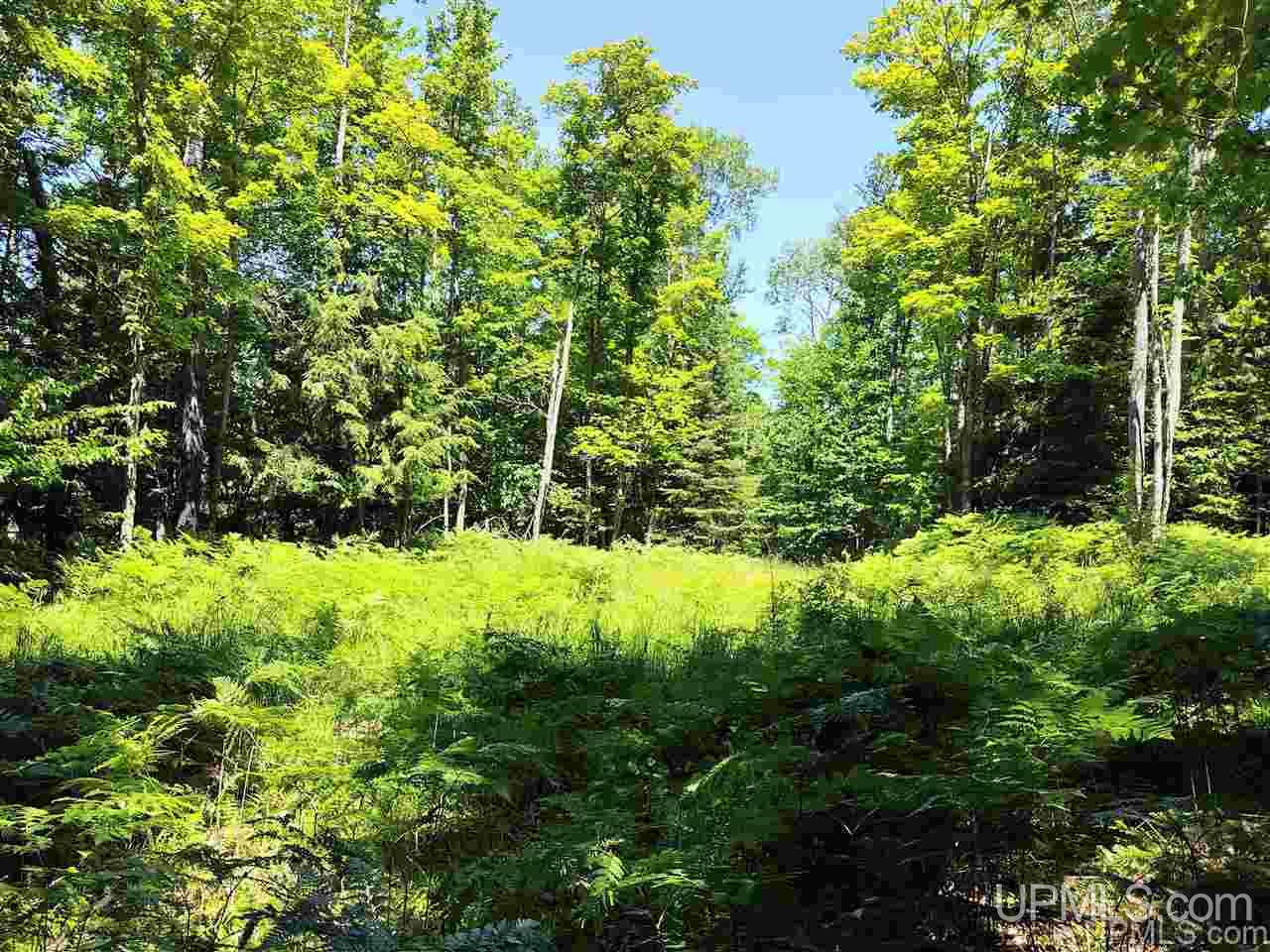Tbd Tbd Indian Cemetery Road Lanse, MI 49946 - Photo 5 of 40