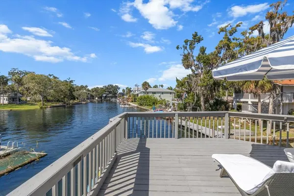 a living room with furniture a window and a potted plant