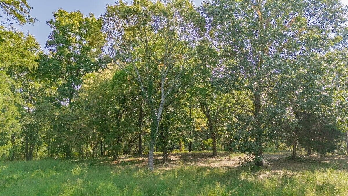 0 Davis Ridge Road Ringgold, GA 30736 - Photo 4 of 6 Gallery Image 4