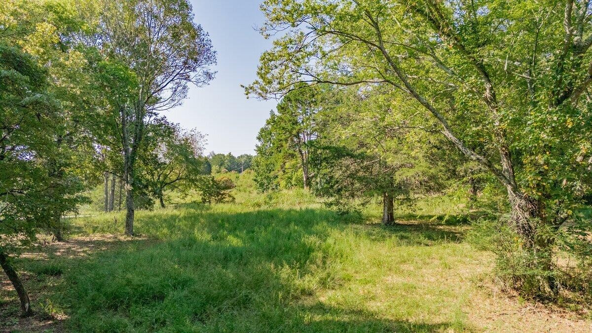 0 Davis Ridge Road Ringgold, GA 30736 - Photo 5 of 6 Gallery Image 5