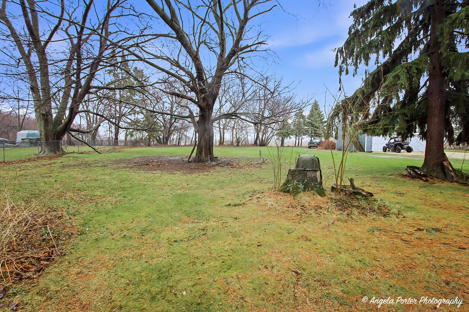 9712 St Albans Street Hebron, IL 60034 - Photo 25 of 28 a view of a yard with a tree