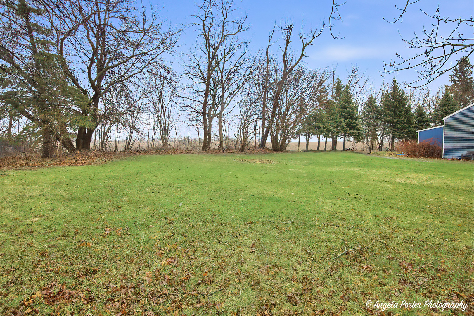 9712 St Albans Street Hebron, IL 60034 - Photo 27 of 28 a view of a field of grass and trees