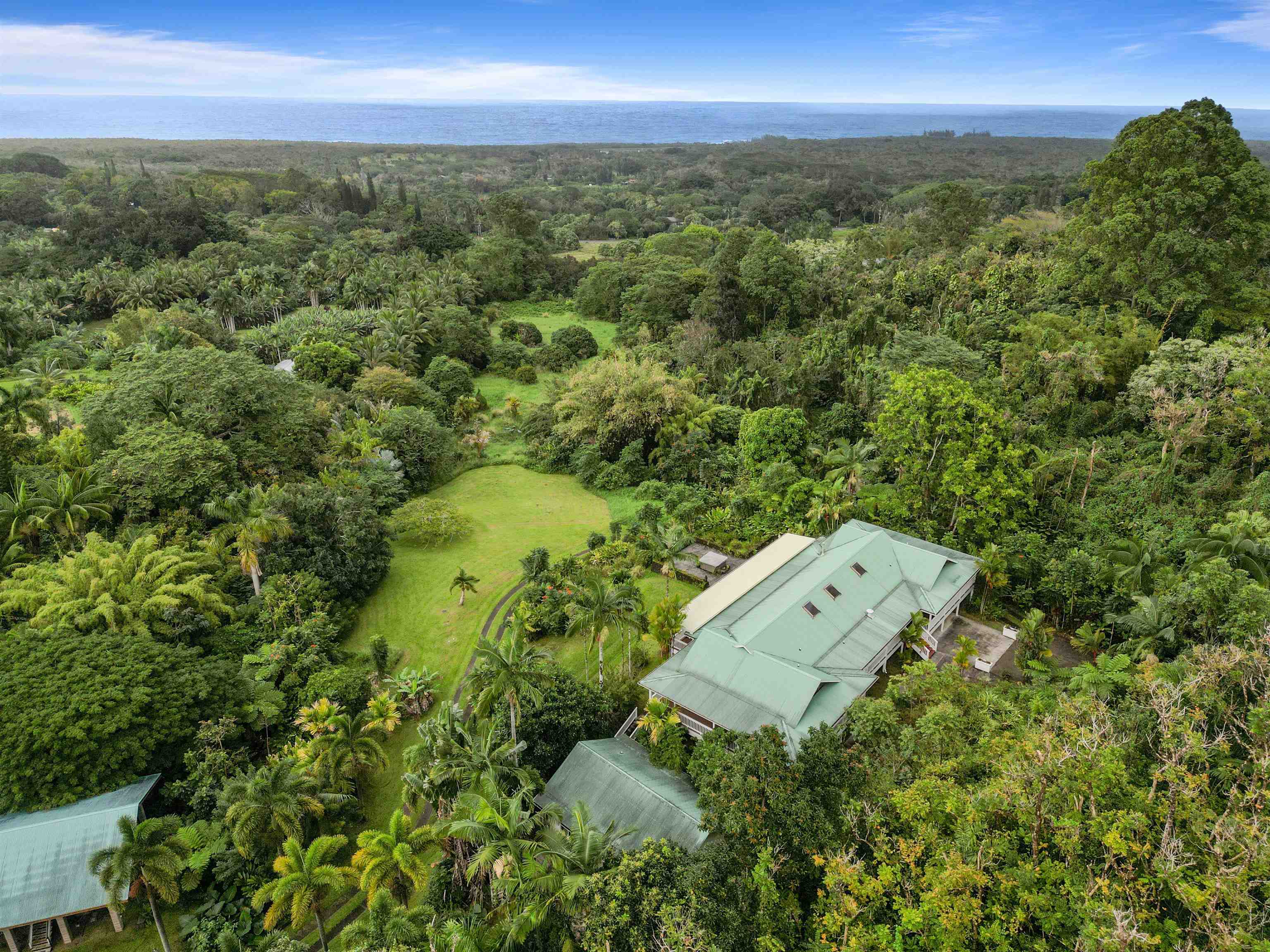 285 Kalo Road Hana, HI 96713 - Photo 26 of 36 an aerial view of a house with a yard