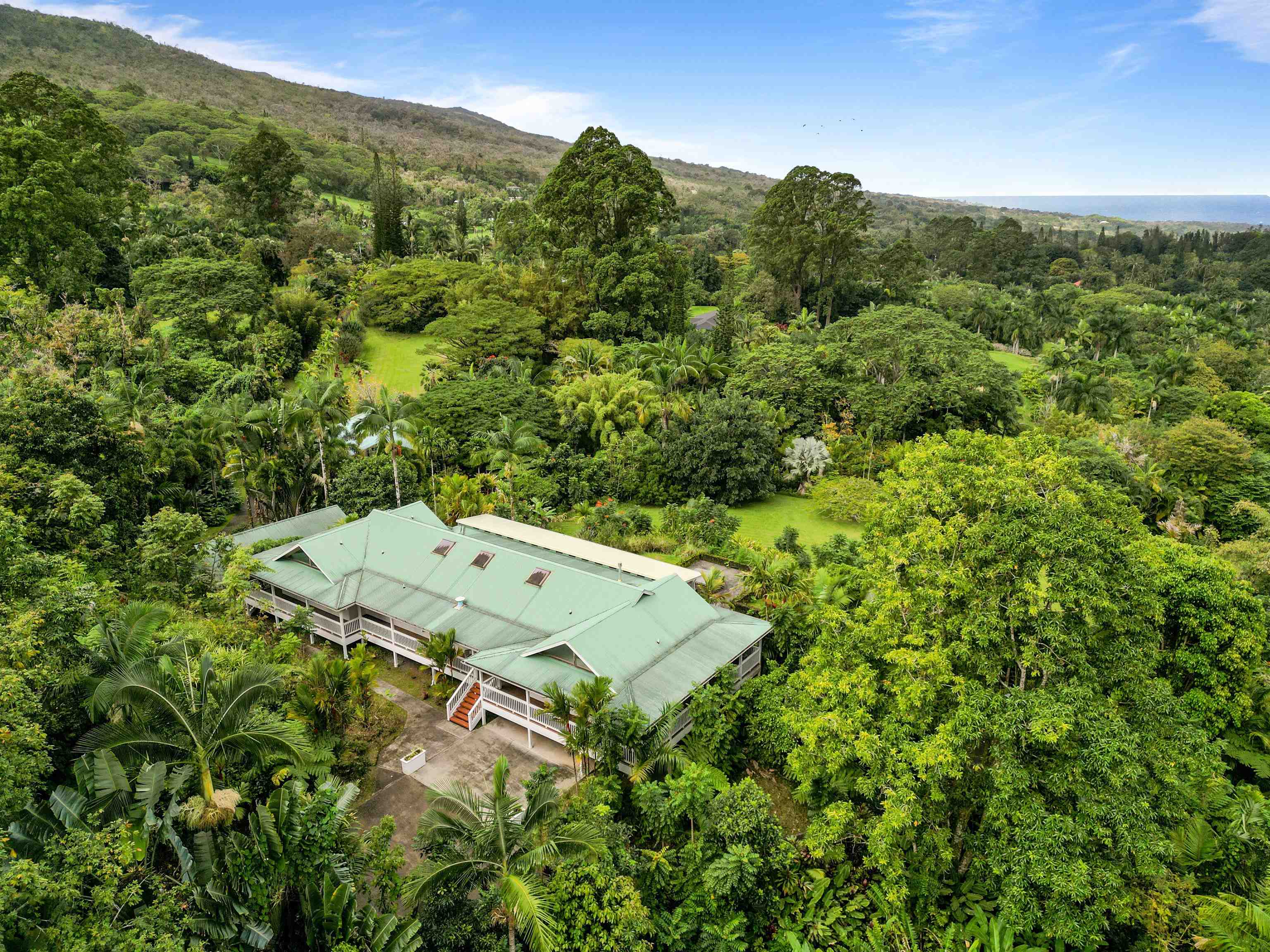 285 Kalo Road Hana, HI 96713 - Photo 34 of 36 an aerial view of a house with a yard